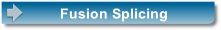 wp1551556d.png