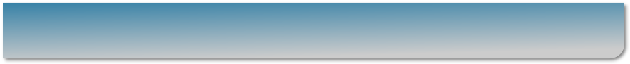 wp45074e54.png