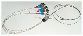 wp5902f50f.png